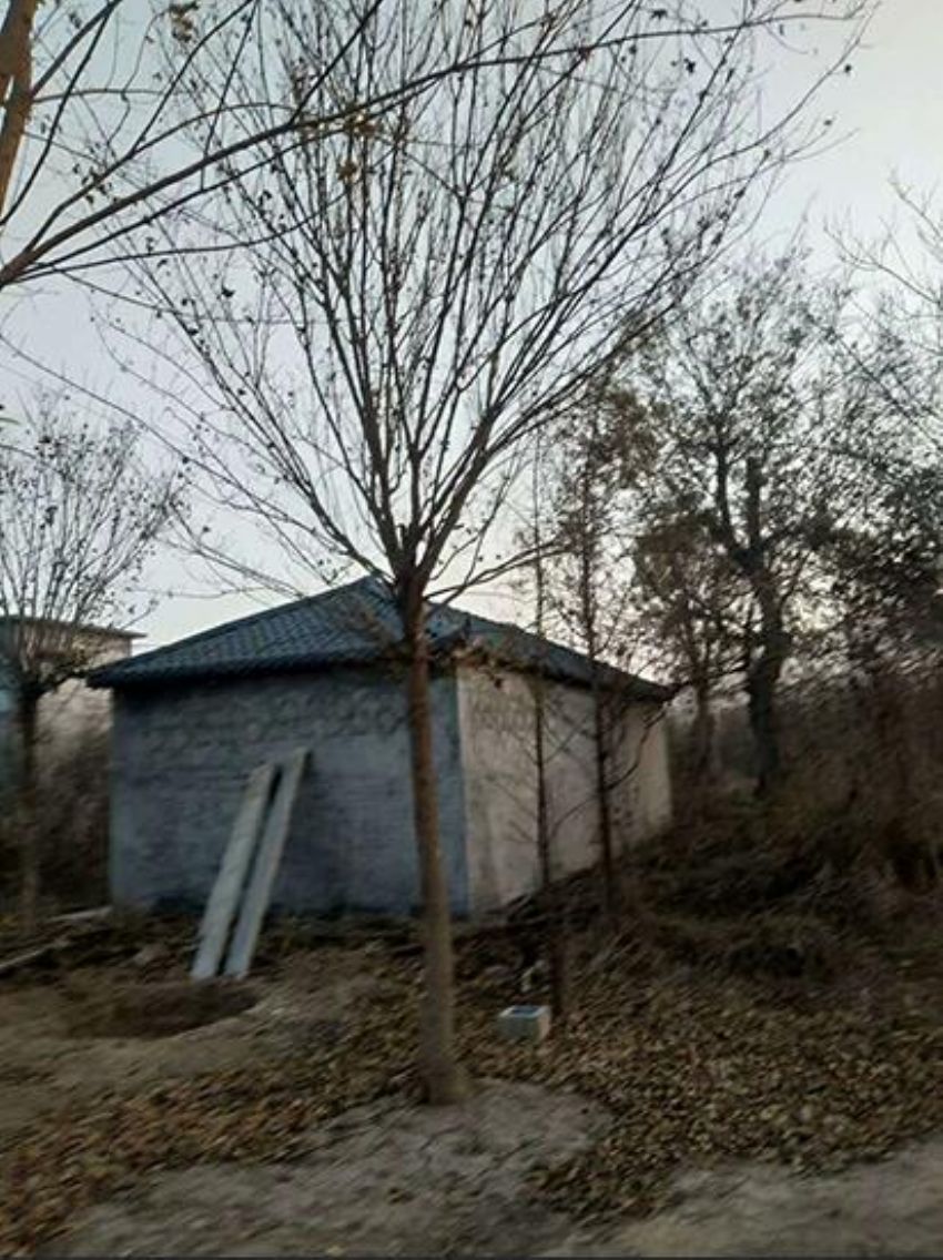 點(diǎn)擊查看詳細(xì)信息<br>標(biāo)題：五角楓 閱讀次數(shù)：1056